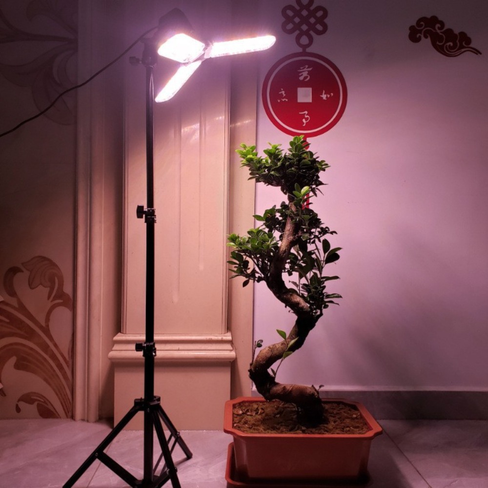 Light Bulb Stand 2M, E27 AC So - đánh giá và giá Photography Lighting For Studio