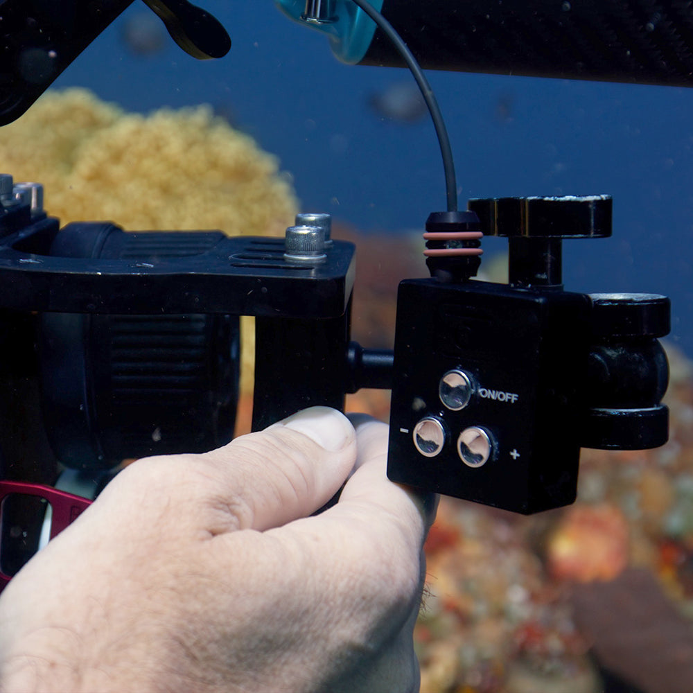 DIVEVOLK SL50 SL120 Underwater - đánh giá và giá Photography Lighting With Flash