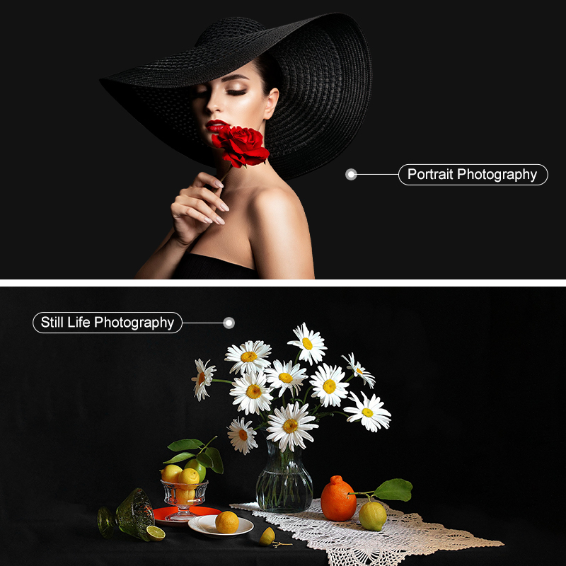 Photography Prop Solid Color L - đánh giá và giá Photography Still Life Lighting